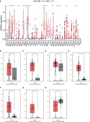 ncRNA-mediated upregulation of FAM83A is associated with poor prognosis and immune infiltration in pancreatic cancer